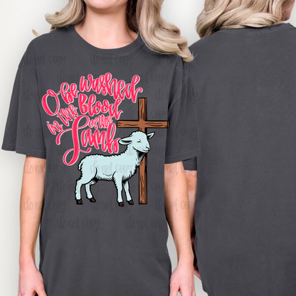 Blood of the lamb PNG